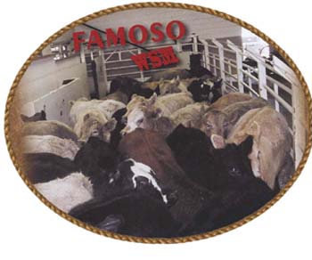 western livestock auction famoso